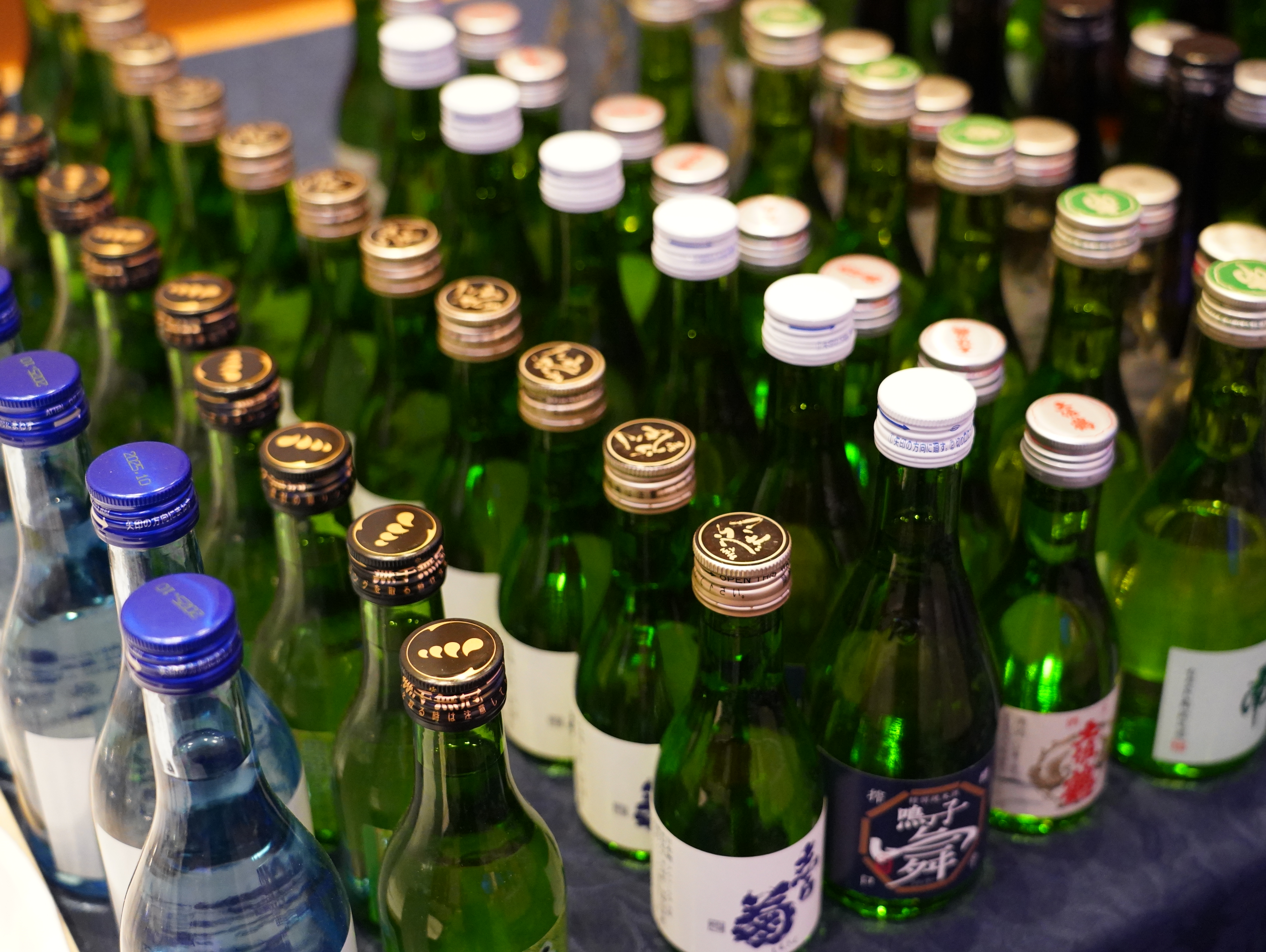 第77回・大懇親会（2025.11.14） 117