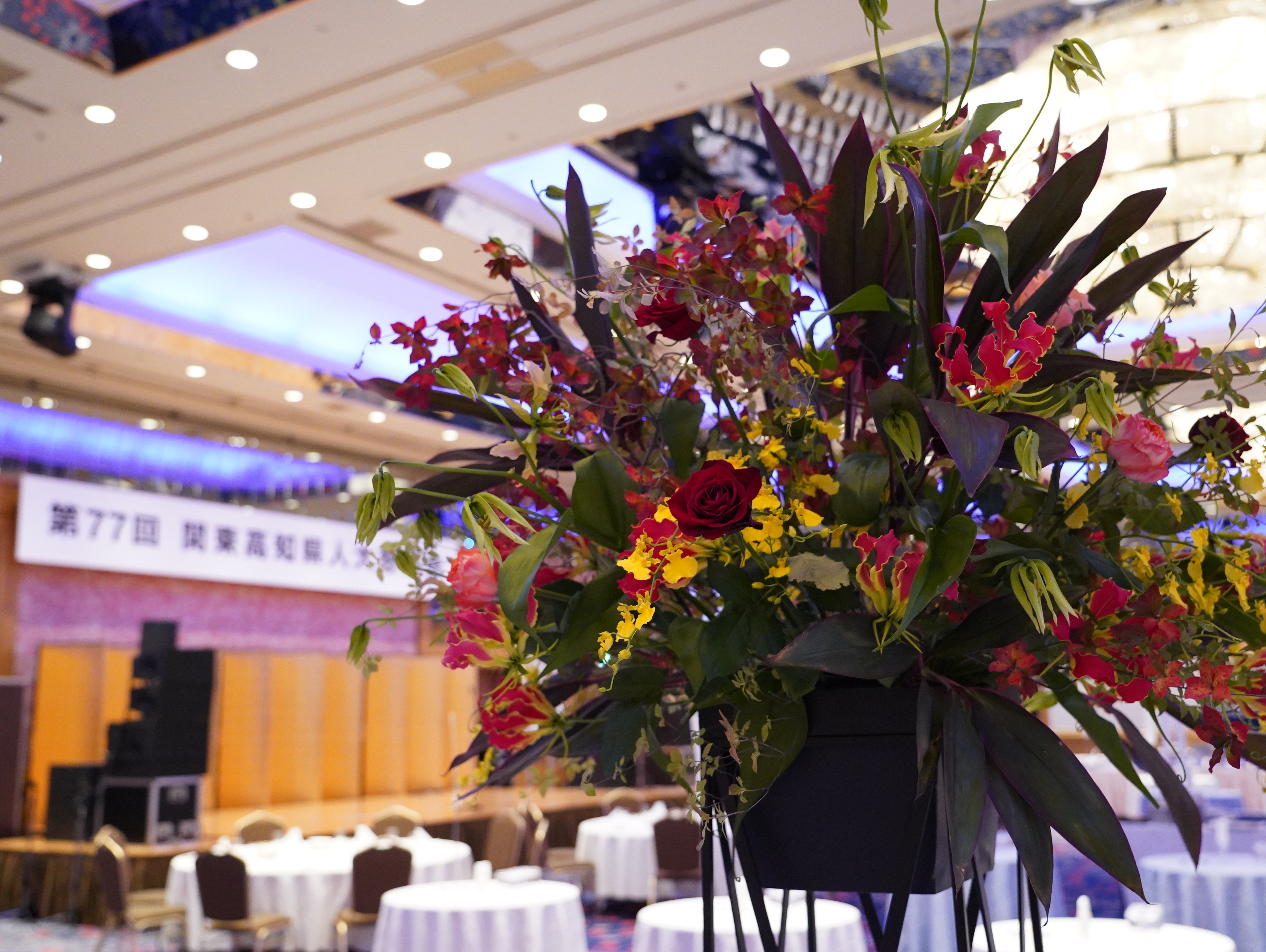 第77回・大懇親会（2025.11.14） 118