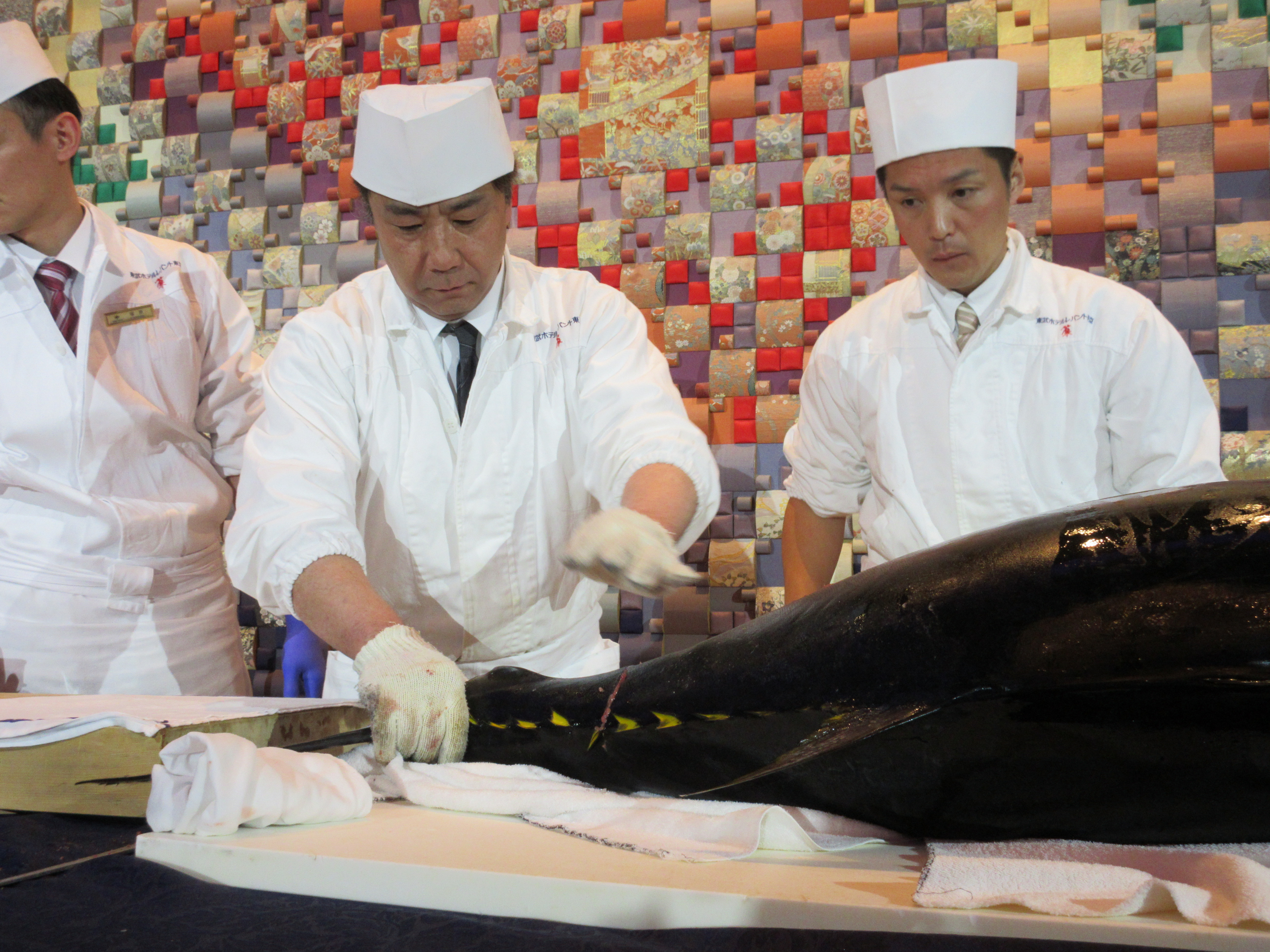 第77回・大懇親会（2025.11.14） 509