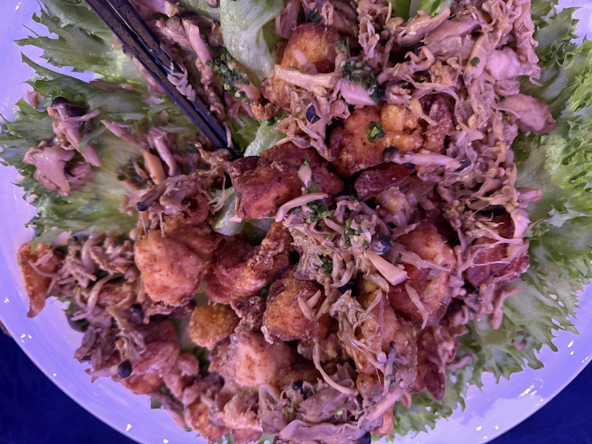 第77回・大懇親会（2025.11.14） 599